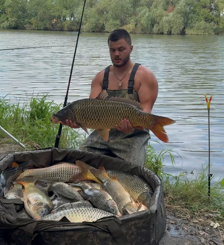 Dinamit Fish banner image