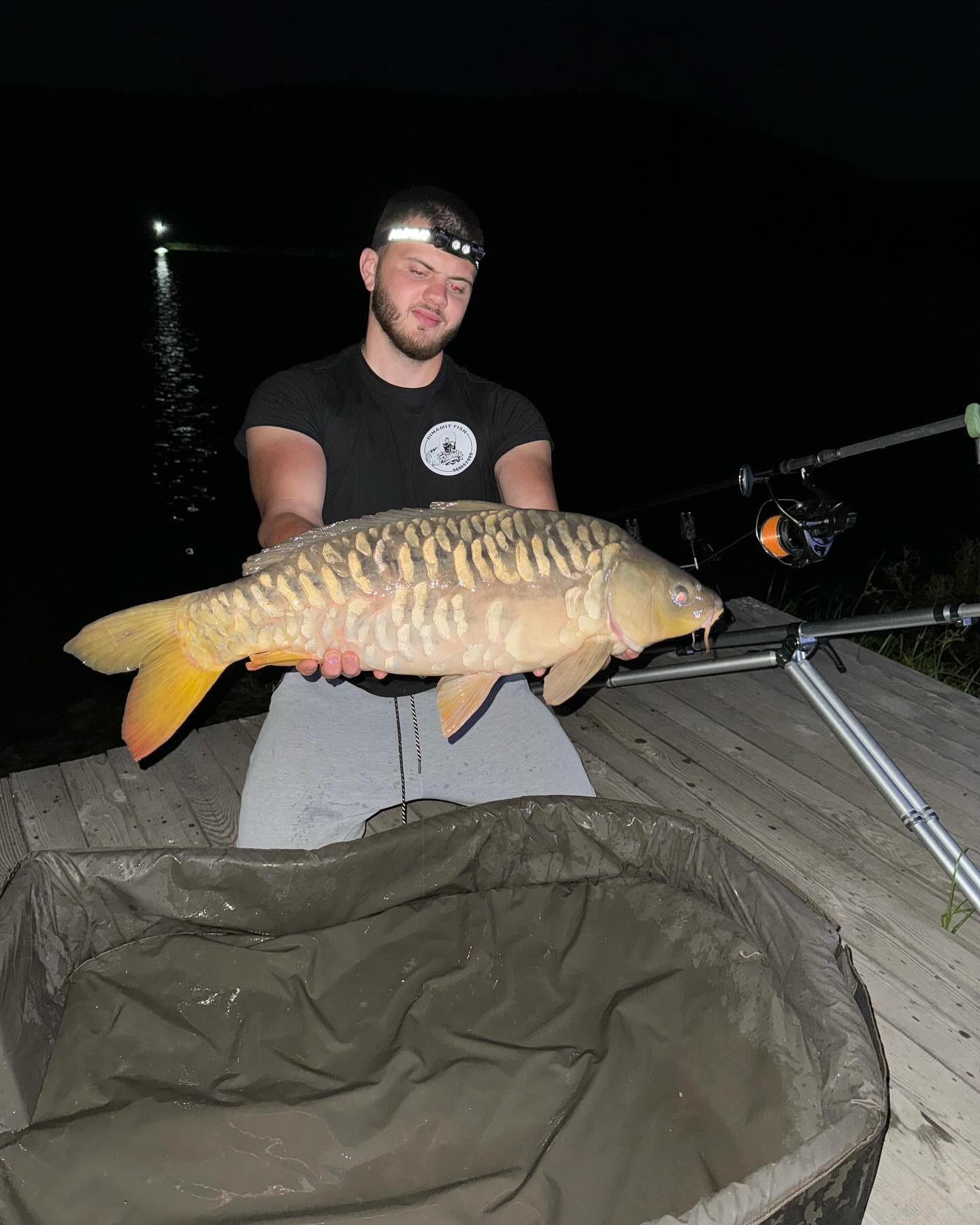 Dinamit Fish banner image